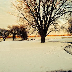 Meet your Posher, Ann